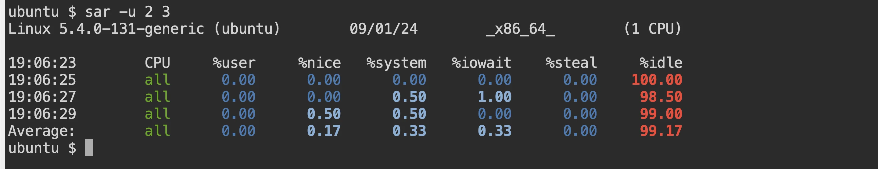 sar output